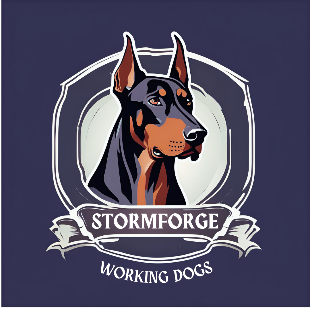 Stormforge Dobermans