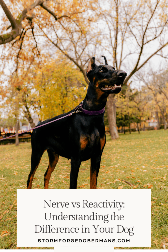 nerve vs reactivity