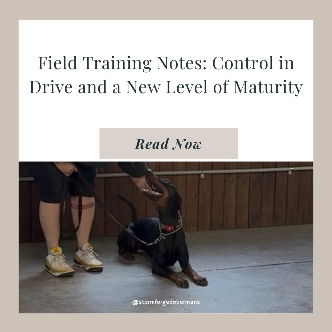 Field Training Notes: Control in Drive and a New Level of Maturity